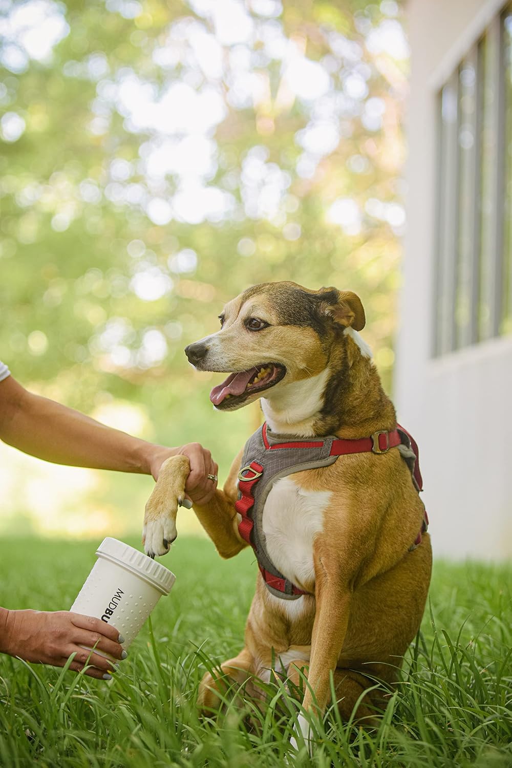 Dexas MudBuster Portable Dog Paw Cleaner, Medium, Bright White Special Edition, Premium Pet Supplies and Accessories