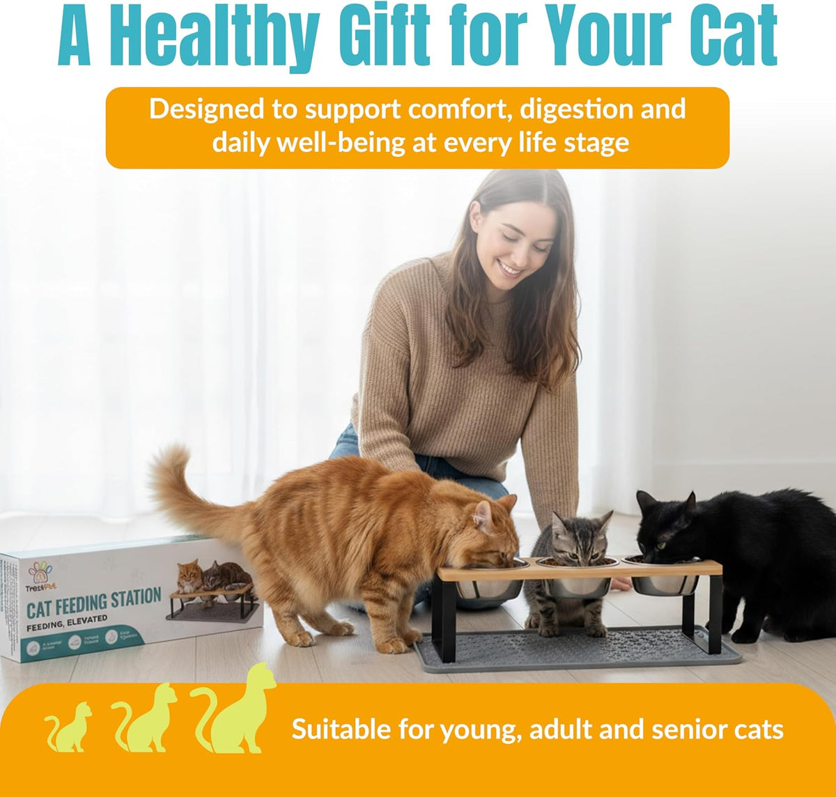 Raised Cat Food Bowls-3 Bowl Elevated Cat Feeding Station with Mat