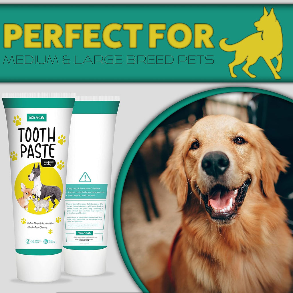 H&H Pets Dog Toothbrushes and Toothpaste Best Professional Cats & Dogs Finger Dental Brush, Dog Brush Set, Perfect for Dogs and Cats, Dog Supplies - Size Small 4 Count 3.5 Oz Toothpaste (100g) 