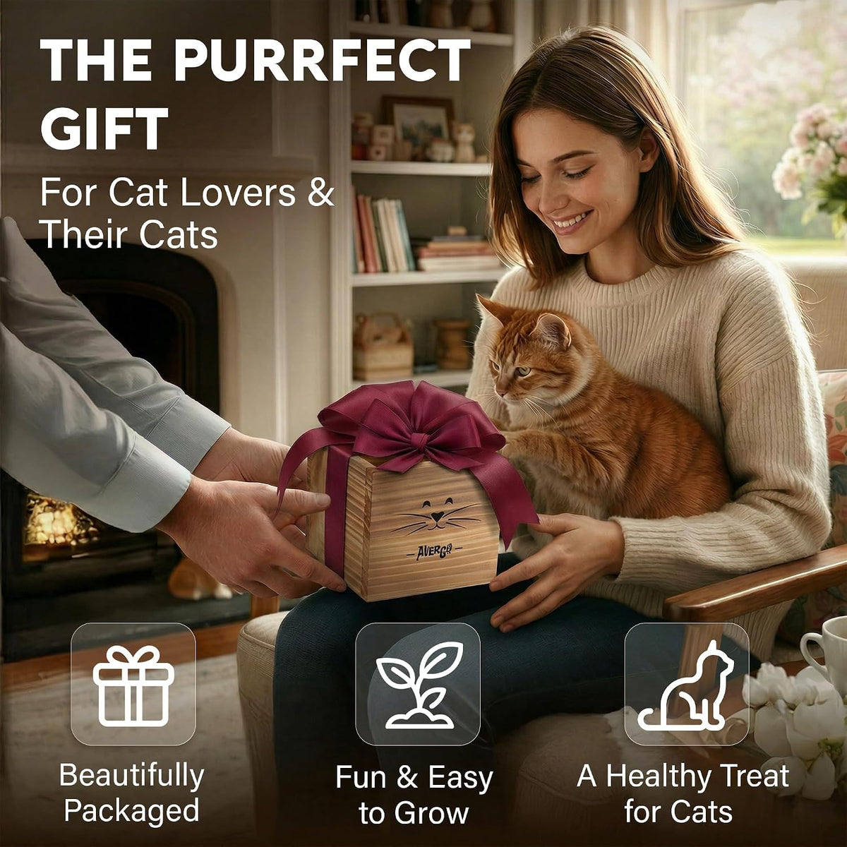 Cat Grass Kit for Indoor Cats – x2 Seed Packets