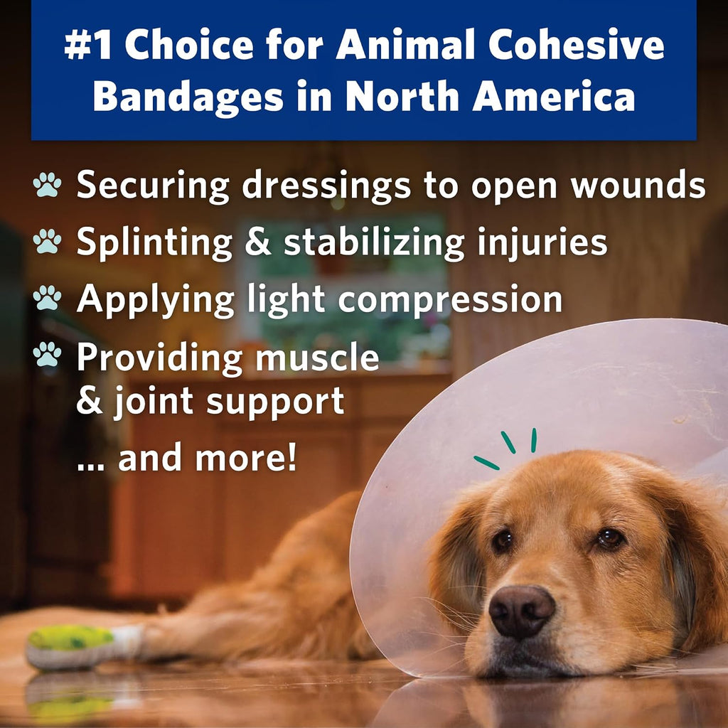 OVIK Health PetFlex Paw Pack – Flexible Self-Adhering Elastic Bandage for Wound Care – First Aid Wrap for Small Animals Like Dogs, Cats, and Other Pets - 2 inch, 2 Rolls
