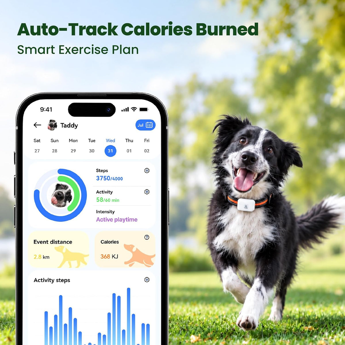 Dog Tracker GPS, Real Time Tracking & Virtual Fence 1-Year Service Included