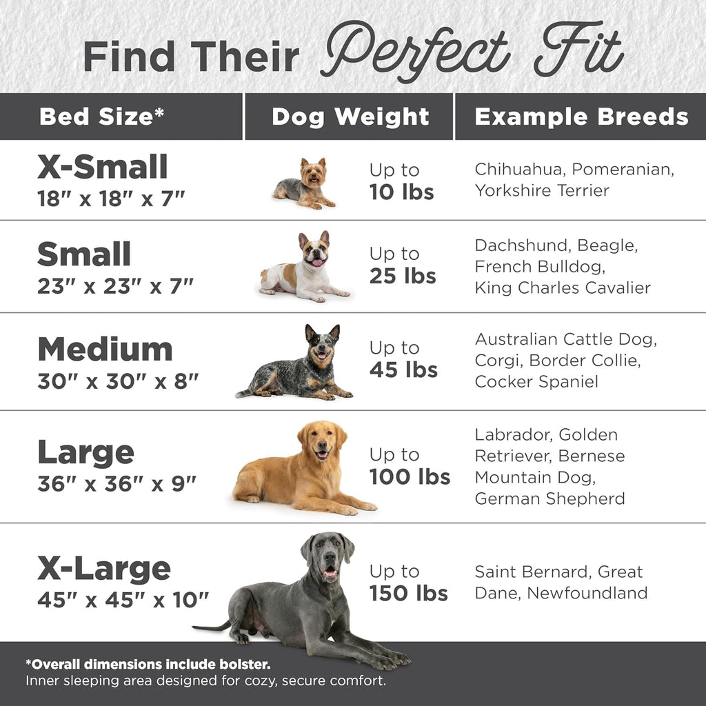 Best Friends by Sheri Original Calming Donut Dog Bed, Oyster, Large, 36"