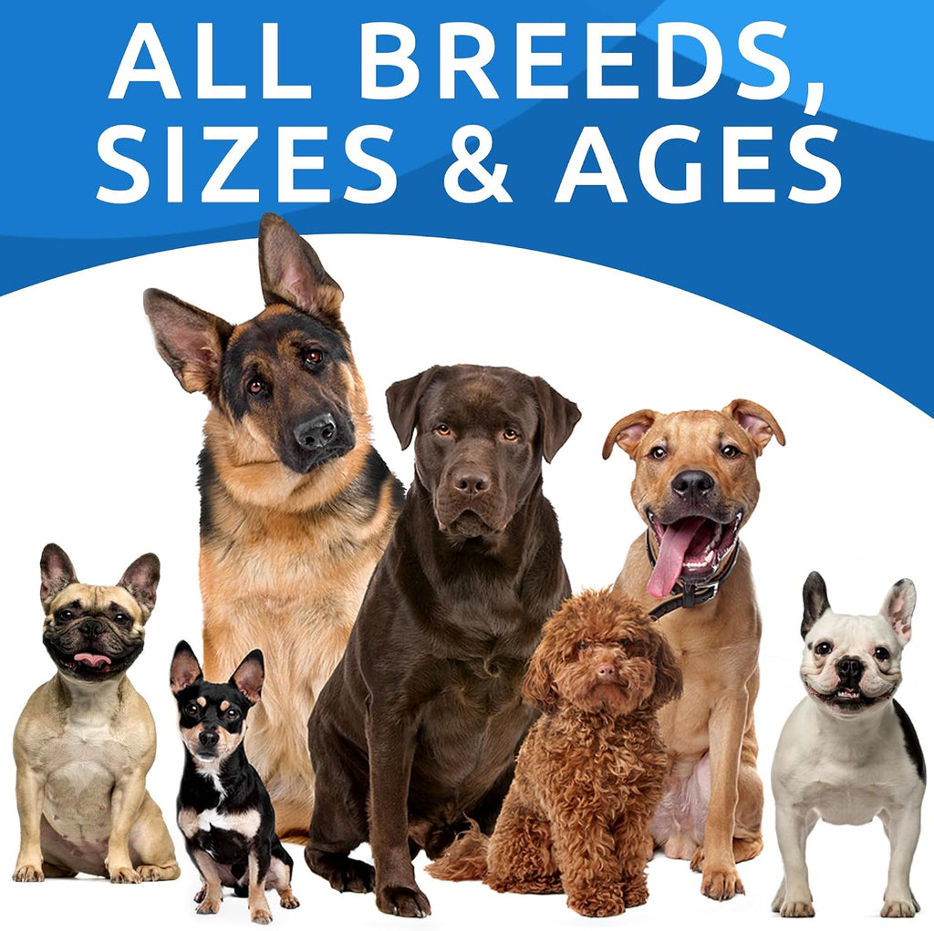 BARK&SPARK Dog Allergy Relief Chews - Skin Health, Anti-Itch Supplement