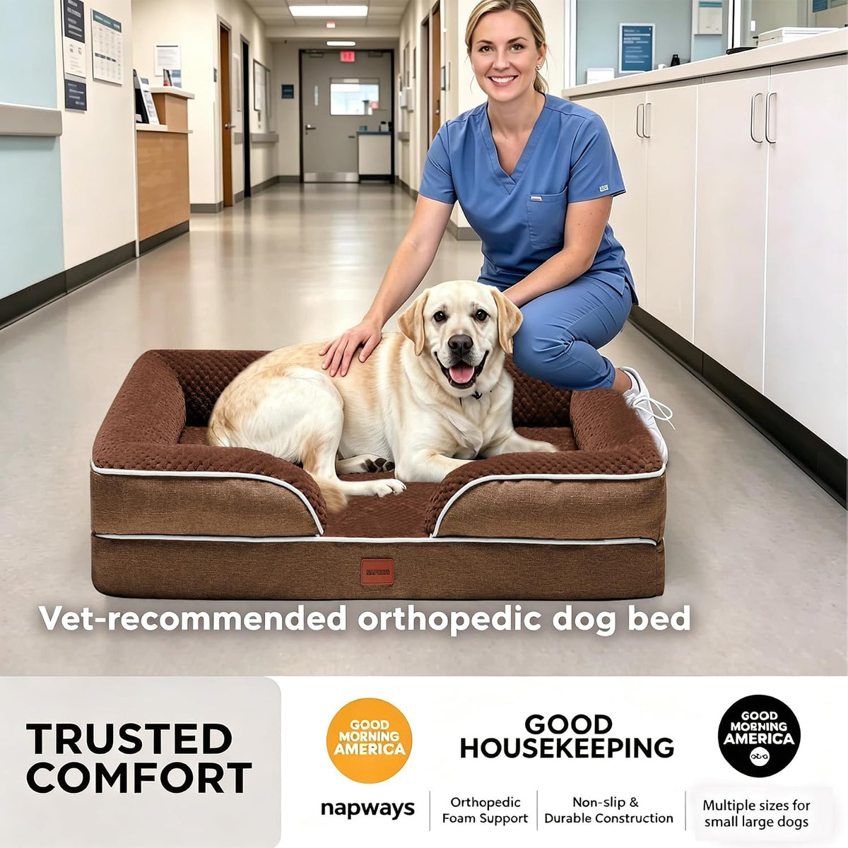 Orthopedic XLPlus Dog Bed Extra Large with Removable Washable Cover