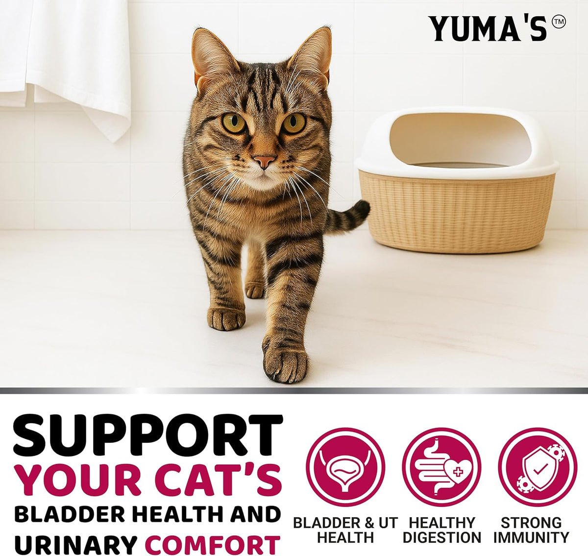 Cat Urinary Tract Health - Cranberry Supplement for Cats - Bladder Support