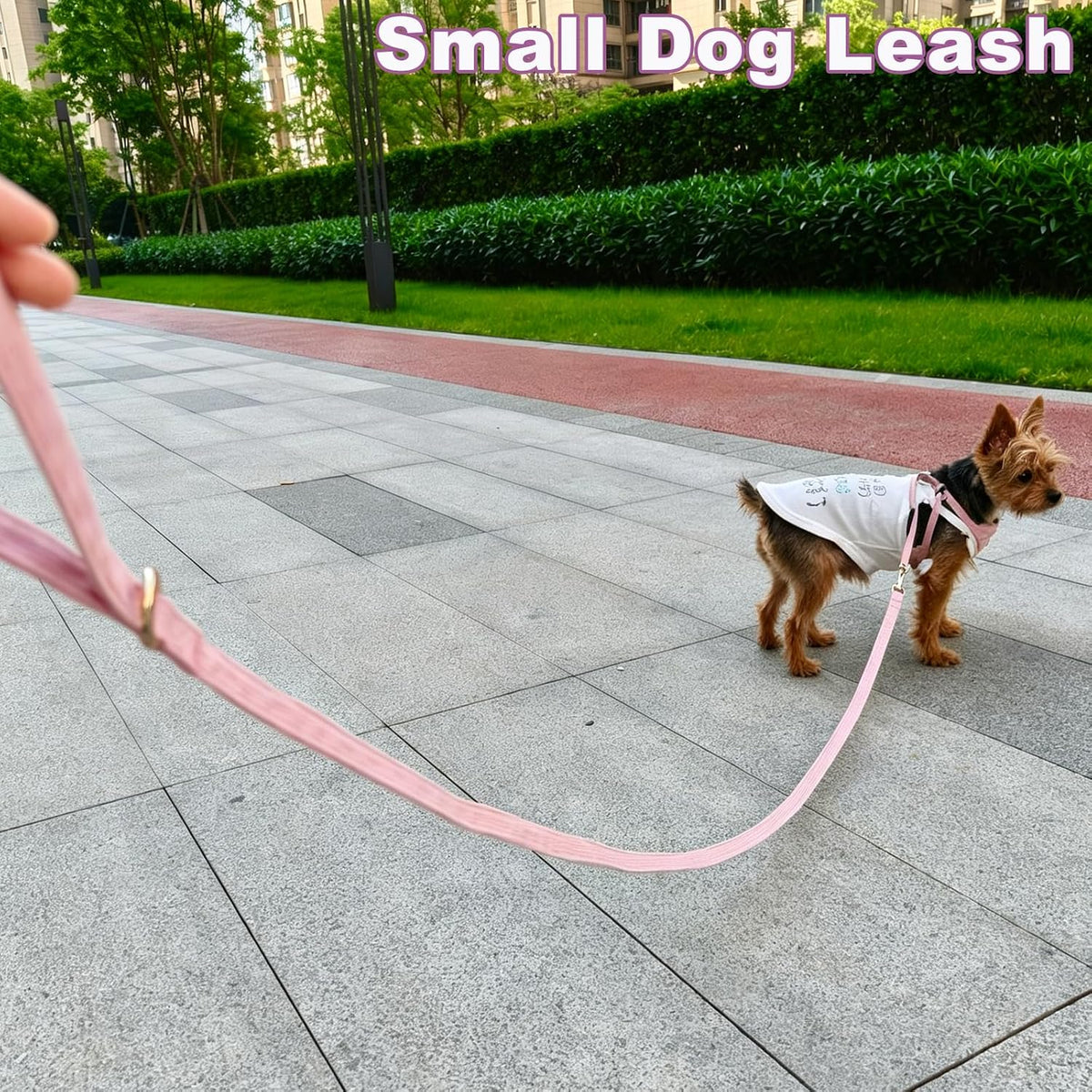 Cotton Dog Leash for Small Dogs 4ft 6ft Puppy Walking Training Lead