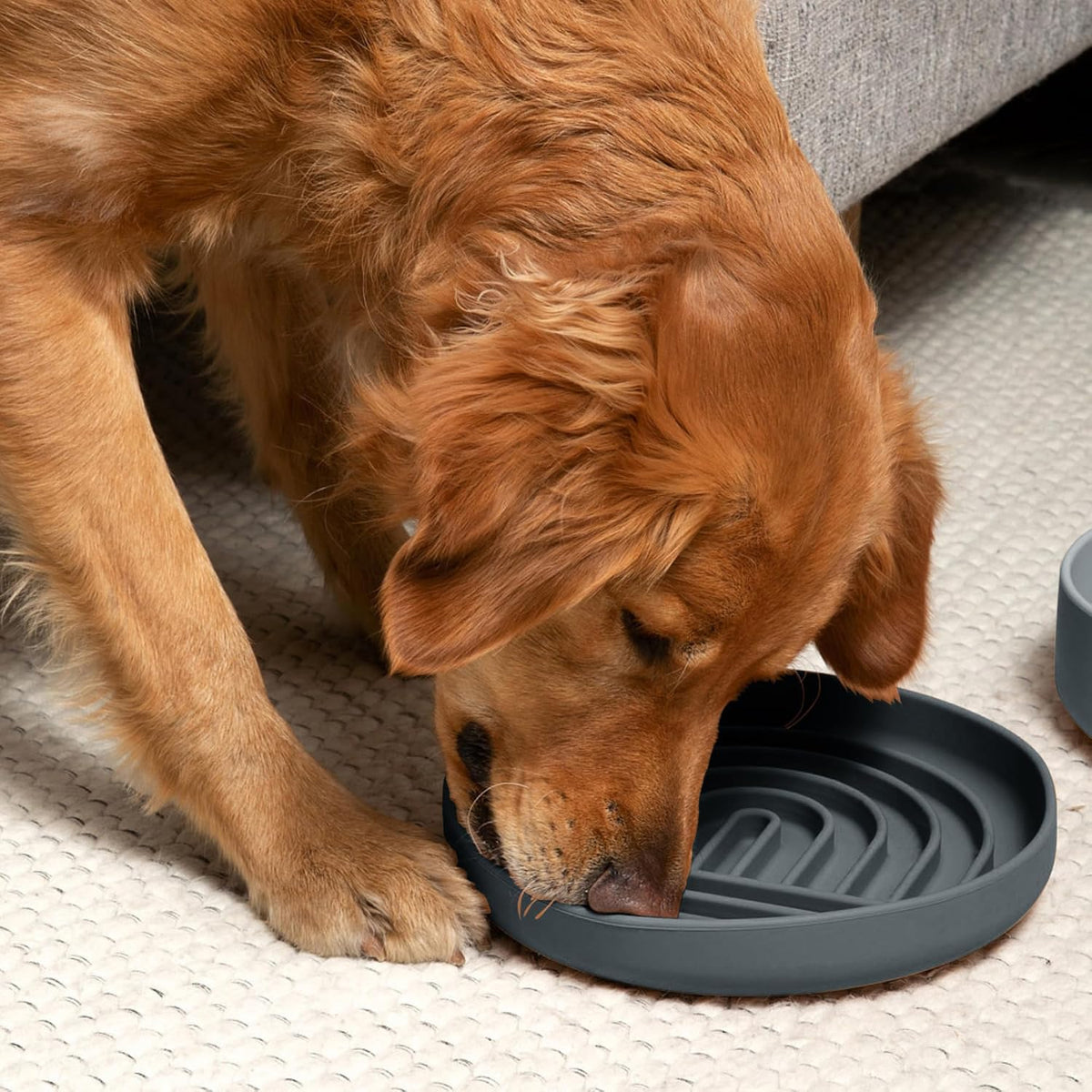 Slow Feeder Dog Bowl - Silicone Dog Bowl, Large, 9.5" x 1.5" - Charcoal