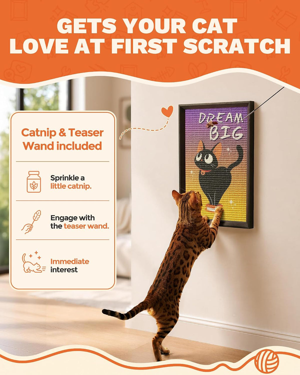 Decorative Wall Art Cat Scratcher Funny Cat Quote Sisal Scratch Pad