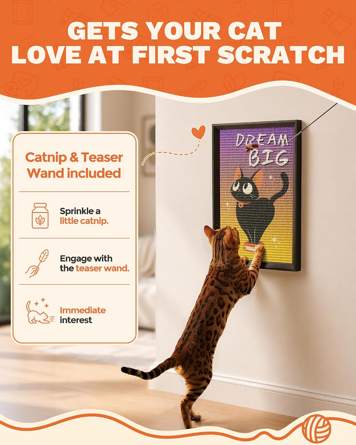 Decorative Wall Art Cat Scratcher Funny Cat Quote Sisal Scratch Pad
