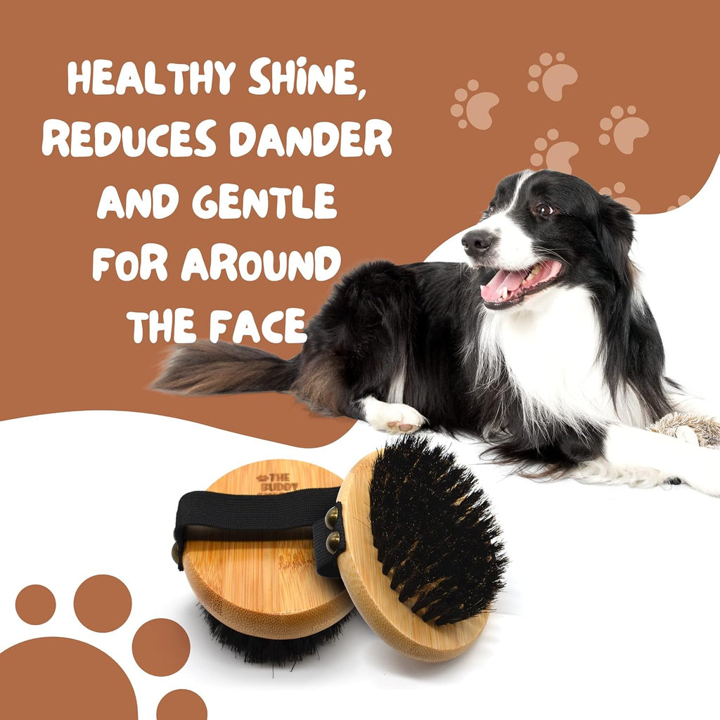 The Buddy System - Pet Close Brush, Oval Palm Brush with Boar Bristles
