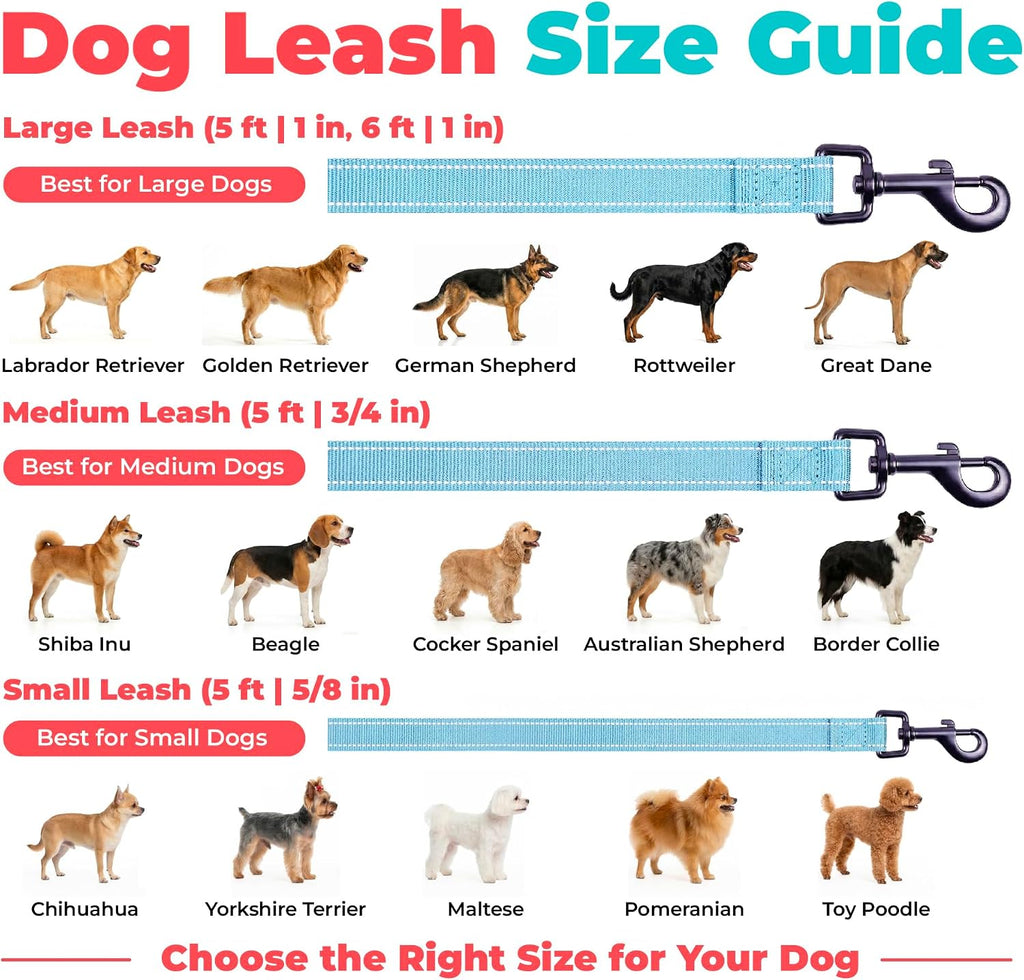 Best Pet Supplies Voyager Nylon Dog Leash - Baby Blue, Medium
