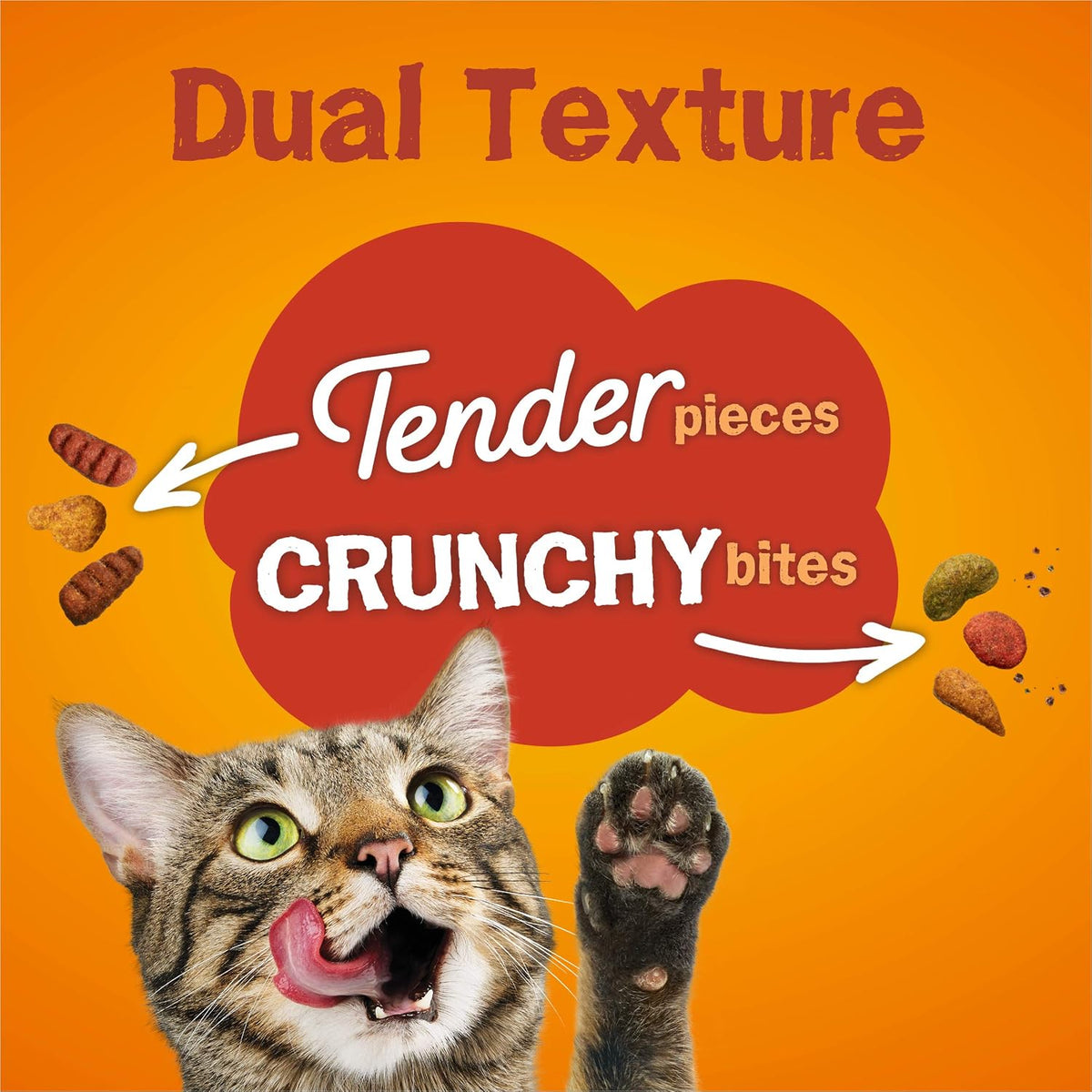 Purina Friskies Dry Cat Food, Tender & Crunchy Combo - 6.3 lb. Bag