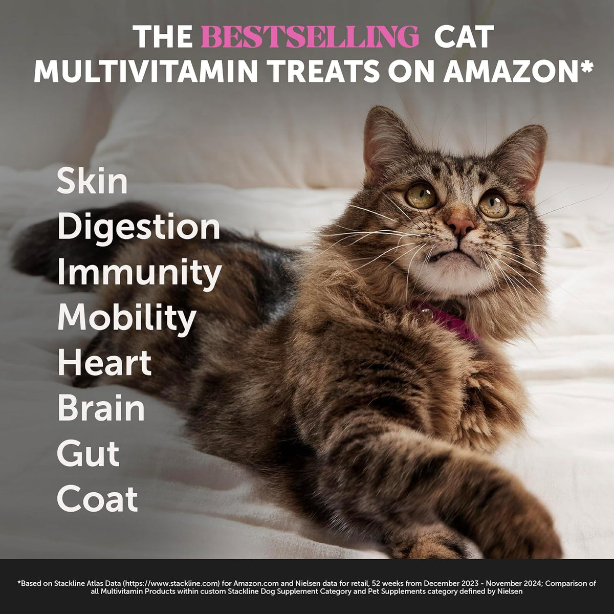 Pet Honesty Vet Backed Cat Multivitamin, Chicken, 180-Day Supply