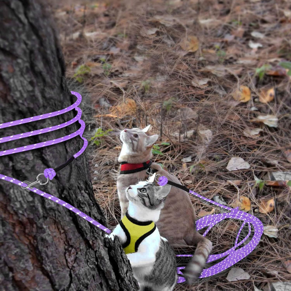 Reflective Cat Long Leash 15 FT, Outdoor Backyard Cat Tie Out Lead,Purple