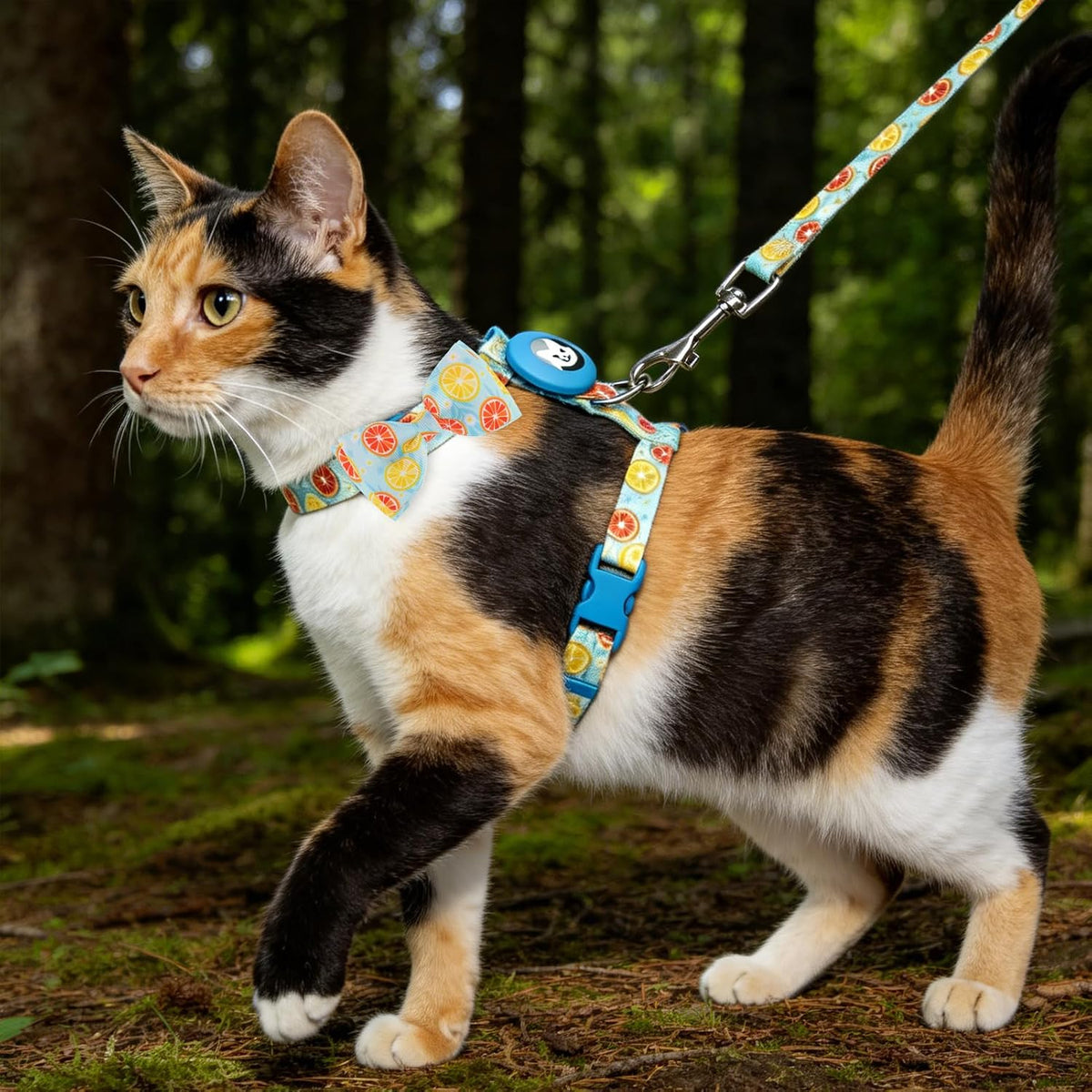 EXPAWLORER Cat Harness and Leash Set Escape Proof Vest with AirTag Holder