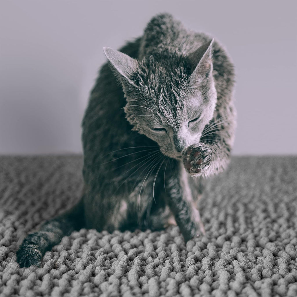 CatGuru Cat Litter Mat, Medium, Extra Large, XXL, Waterproof Litter Box Mat, Non Slip Kitty Litter Mat, Machine Washable Litter Trapping Mat, Soft Litter Tray, Cat Stuff (XL, Gray/Heavy-Duty)