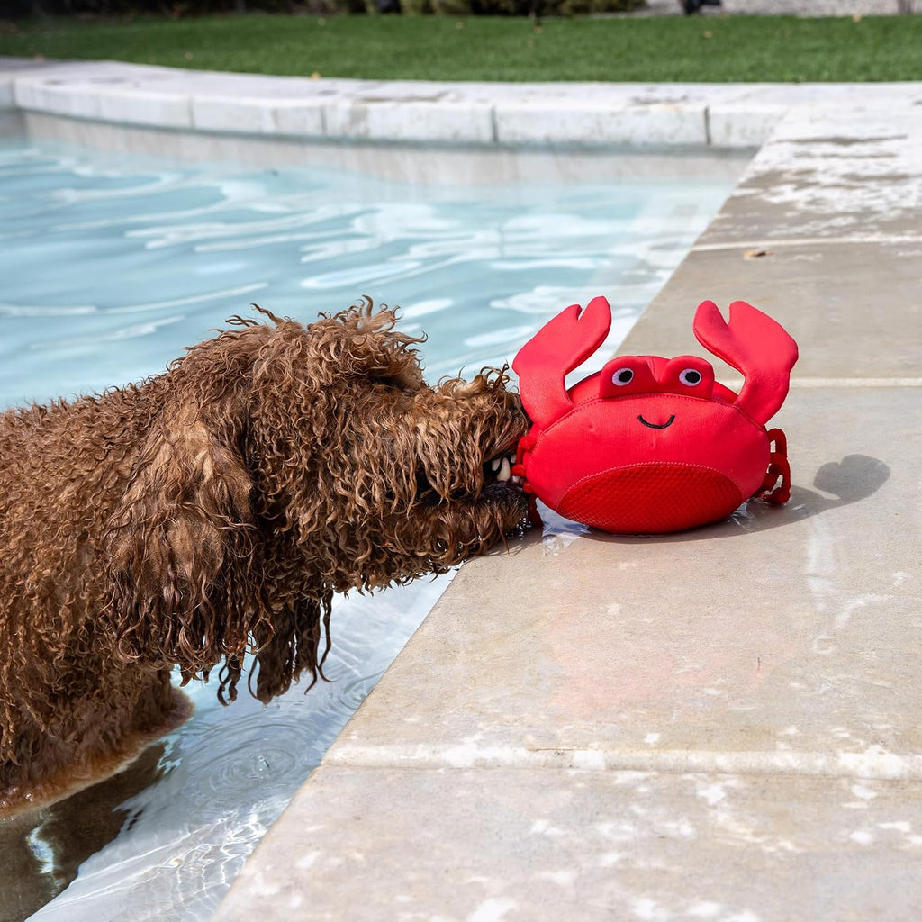 Fringe Studio Claws Floating Dog Toys, Pet Shop Collection (640007)