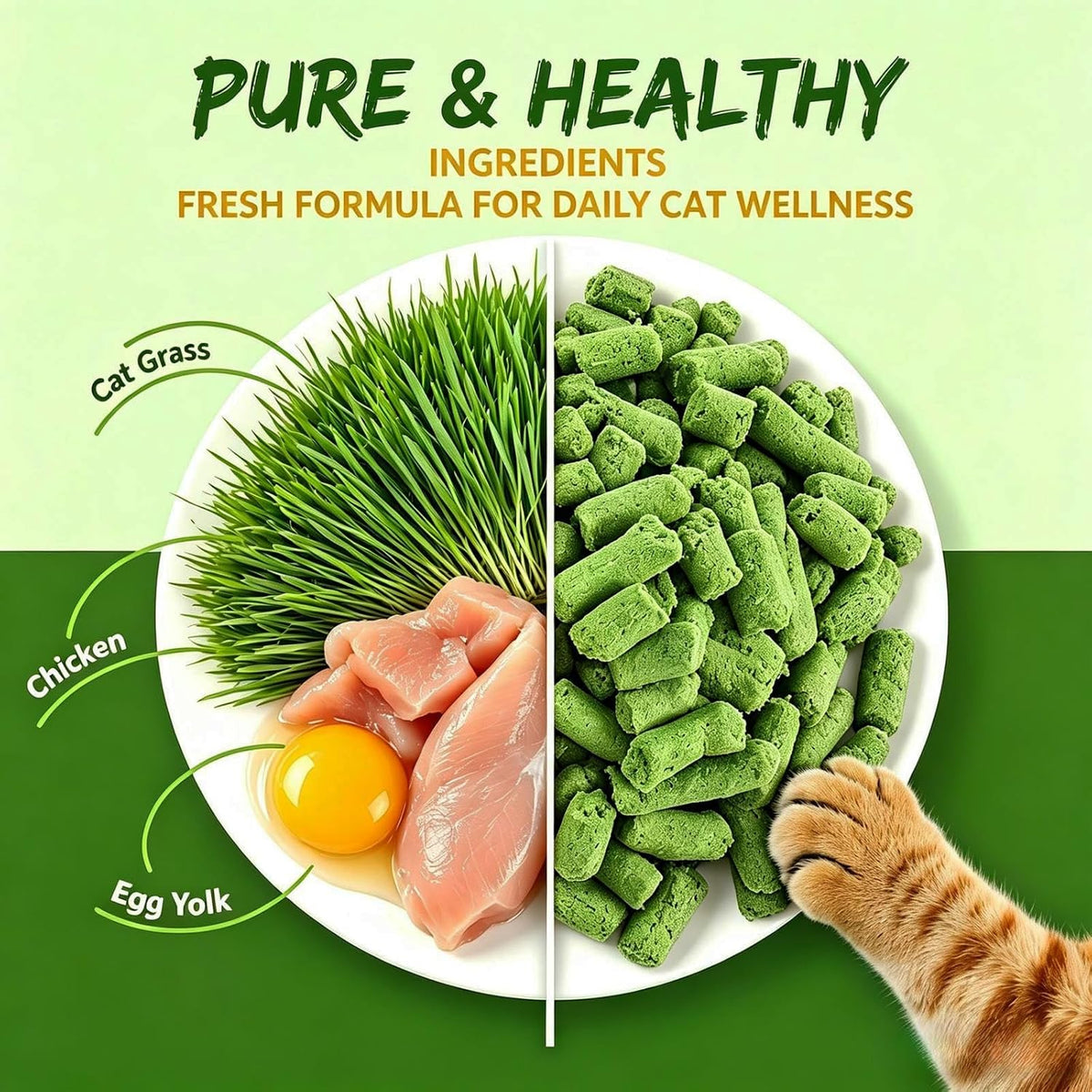 Freeze Dried Cat Grass Treats 100g - Natural Cat Grass Sticks with Chicken & Egg Yolk | Hairball Removal, Dental Care for Indoor Cats | Pet Training Snacks,Grain Free High Protein