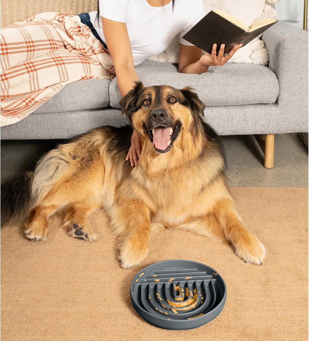 Slow Feeder Dog Bowl - Silicone Dog Bowl, Large, 9.5" x 1.5" - Charcoal