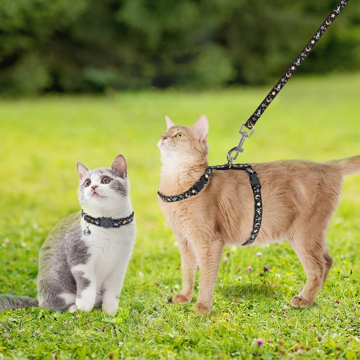 PAWCHIE Cat Harness with Leash and Collar Set - Escape Proof Adjustable H-shped Cat Harness with Star and Moon Pattern Glow in The Dark for Kitty Outdoor Walking