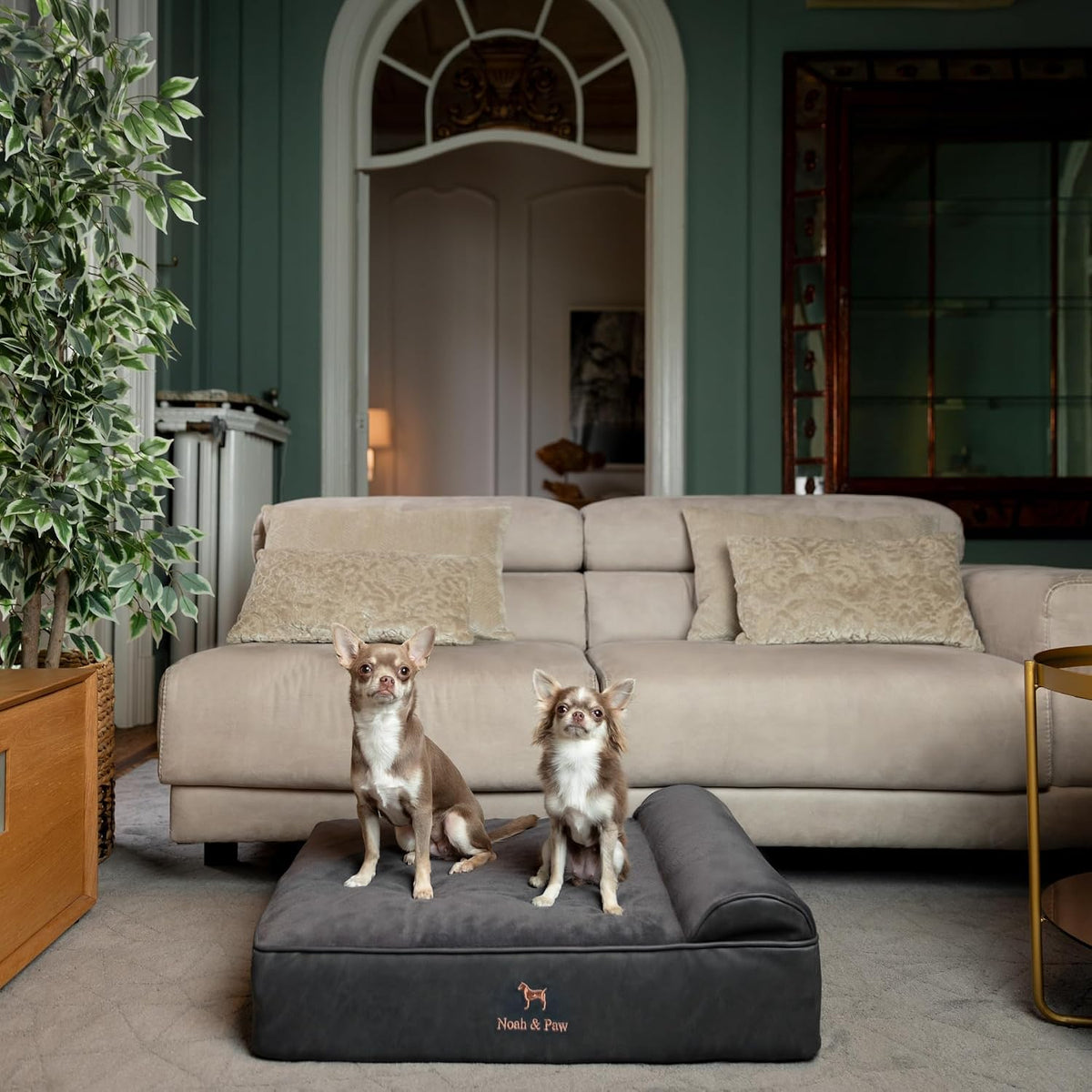 NOAH & PAW Medium Dog Bed Orthopedic Memory Foam Cooling Gel 28x23x7.5 in
