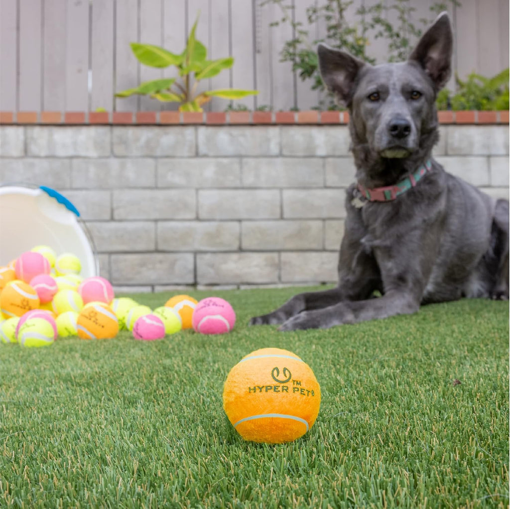 Hyper Pet MINI Tennis Balls for Dogs Safe Dog Toys & Tennis Balls for Exercise, Training, Hyper Pet K9 Kannon Dog Ball Launcher) Bright Colored Interactive Orange Pack of 4 | Safe playthings for exercise and training, works with the K9 Kannon launcher,...