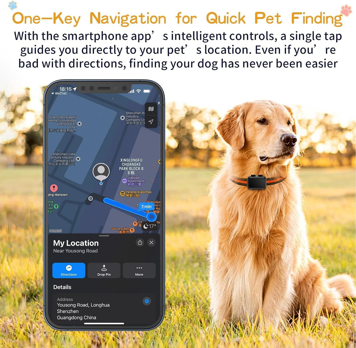 GPS Tracker for Dogs, 4G Waterproof Pet Tracker, Small