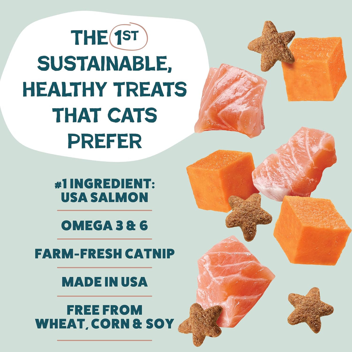 Shameless Pets Crunchy Cat Treats - Kitty Treats for Cats with Skin & Coat Support, Natural Ingredients Kitten Treats with Real Salmon, Healthy Flavored Feline Snacks - Yam Good Salmon, 1-Pk