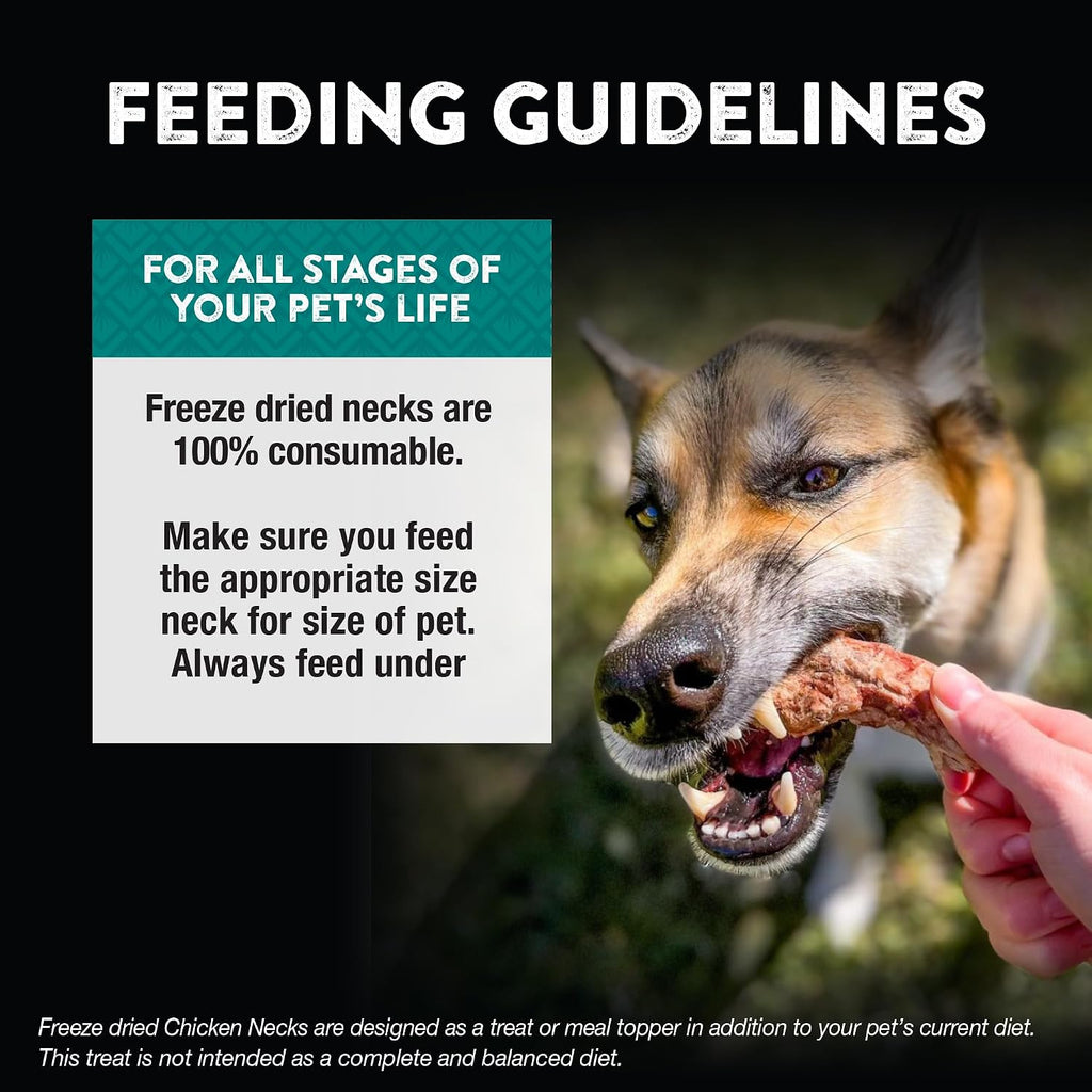 Northwest Naturals Raw Rewards Freeze-Dried Chicken Neck Treats for Dogs and Cats - Bite-Sized Pieces - Healthy, 1 Ingredient, Human Grade Ingredients, All Natural, Made in USA, 4 Oz (Pack of 3)
