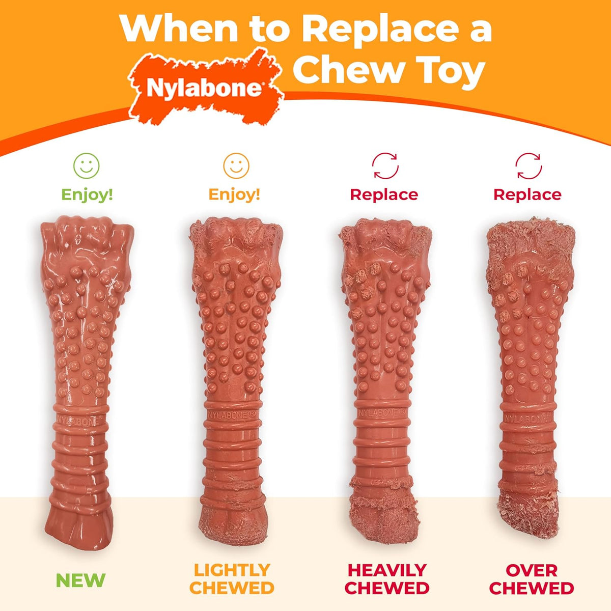 Nylabone Power Chew Basted Blast Dog Chew Toys, X-Small, 2 Count