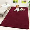 OLANLY Dog Door Mat for Muddy Paws 70x46, Super Absorbent Chenille Mud Mat