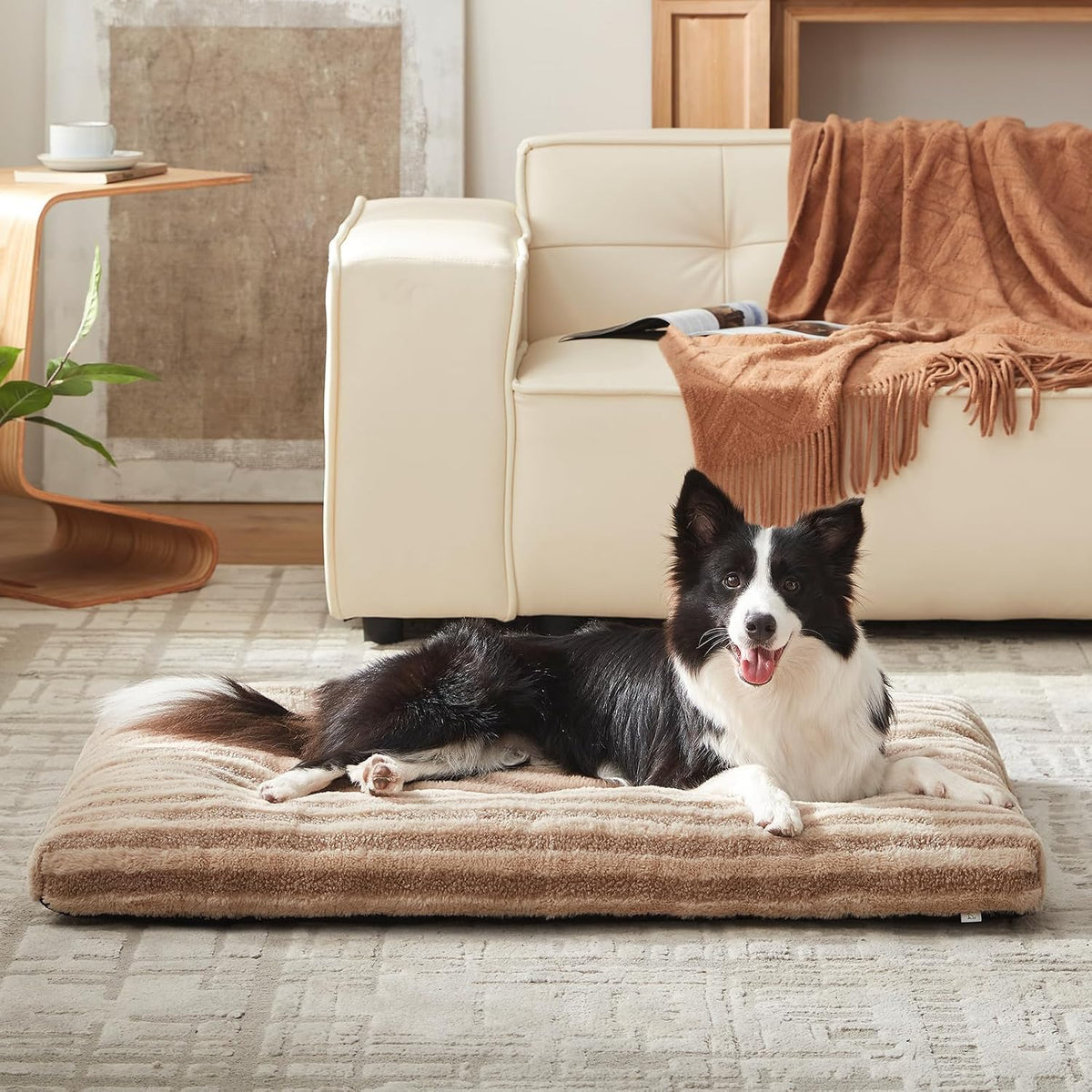 FURTIME Washable Dog Bed Medium Size Dogs, Deluxe Dog Crate Beds