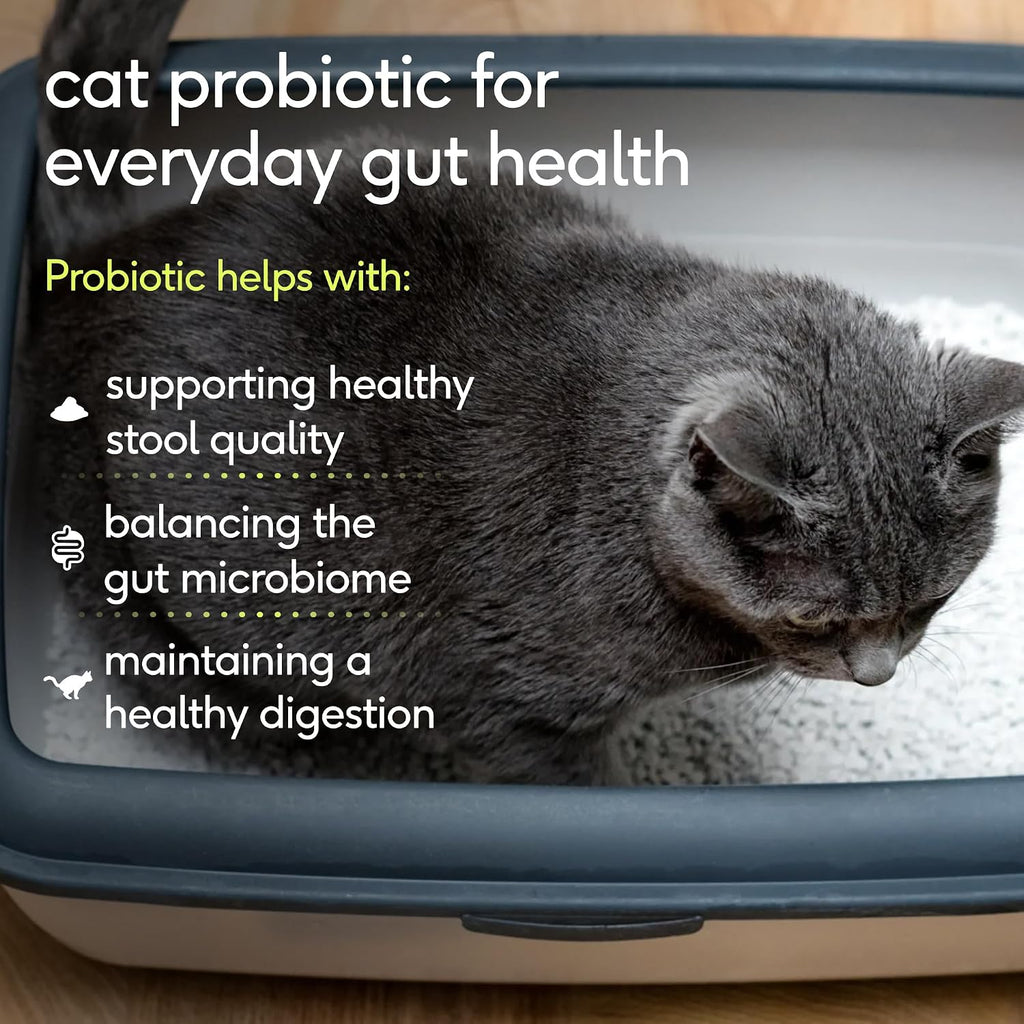 Native Pet Probiotic for Cats - Chicken Flavored Cat Digestive Support