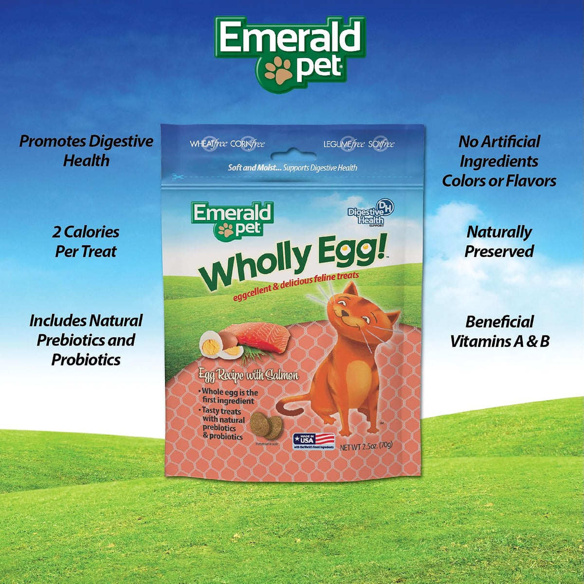 Emerald Pet Wholly Egg Cat Treats for Digestive Health – Soft & Moist Salmon Cat Treats with Natural Prebiotics & Probiotics – Supports Gut Health, 2.5 oz