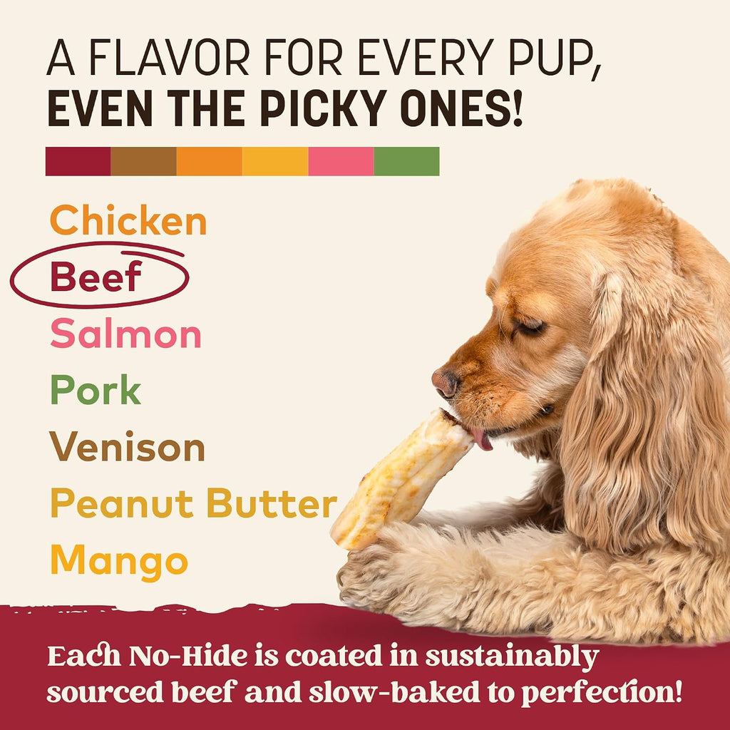 Earth Animal No Hide Dog Chews - Rawhide Free Small Rolls 6 Count Beef