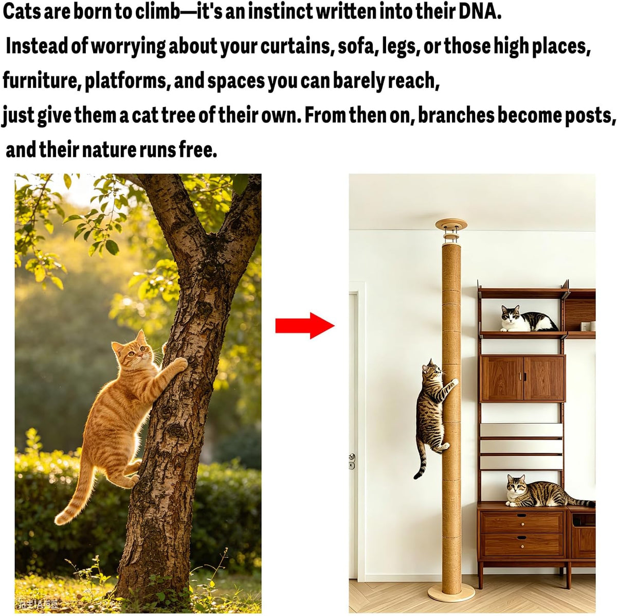 Floor to Ceiling Cat Scratching Post Tree, Adjustable Height 40in-120in Tall PVC Cat Climbing Pole, Sturdy Cat Activity Tower for Indoor Cats to Climb, Scratch & Play