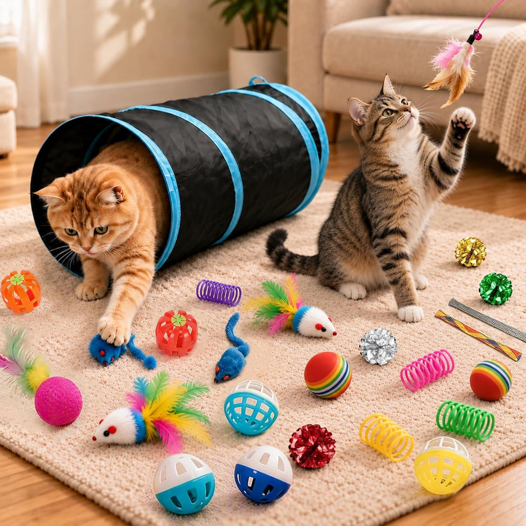 iCAGY 25 Pcs Cat Toys Set, Cat Tunnel Toy for Indoor Cats, Kittens