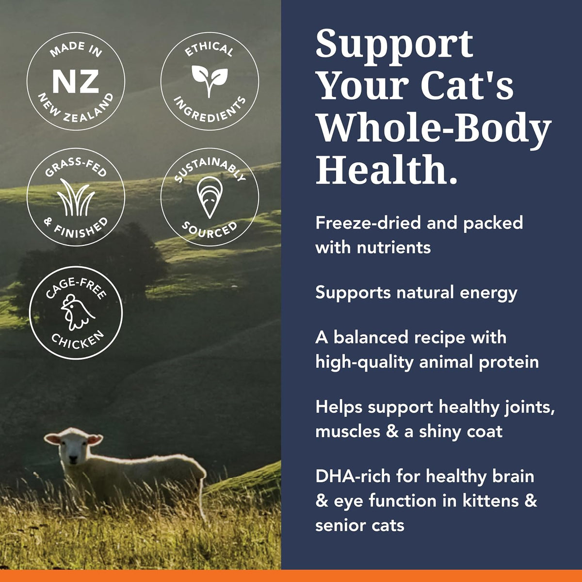 Feline Natural - High Protein Freeze Dried Dry Cat Food with 98% Meat
