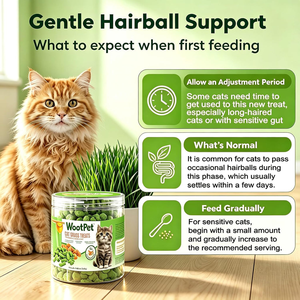 Freeze Dried Cat Grass Treats 100g - Natural Cat Grass Sticks with Chicken & Egg Yolk | Hairball Removal, Dental Care for Indoor Cats | Pet Training Snacks,Grain Free High Protein