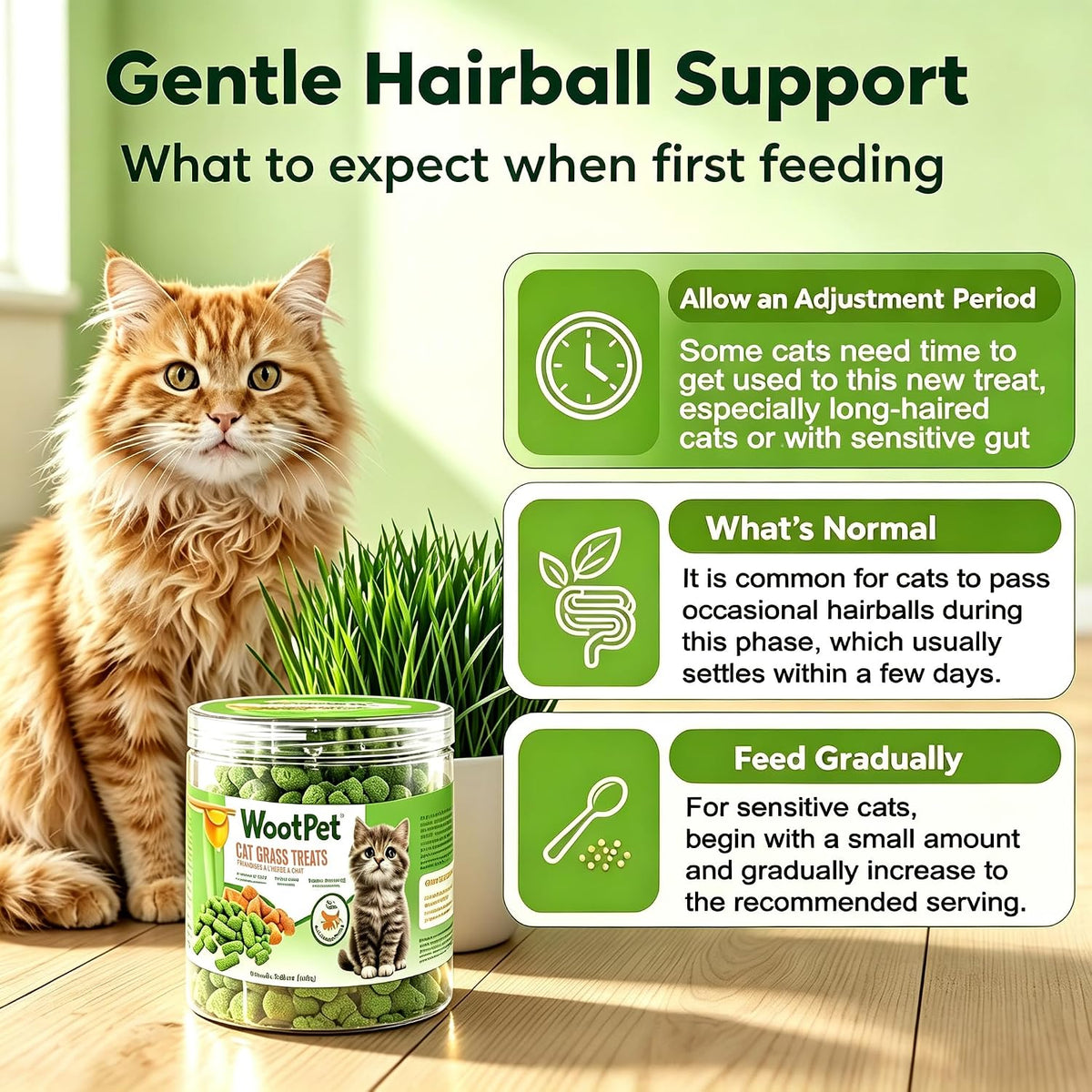 Freeze Dried Cat Grass Treats 100g - Natural Cat Grass Sticks with Chicken & Egg Yolk | Hairball Removal, Dental Care for Indoor Cats | Pet Training Snacks,Grain Free High Protein