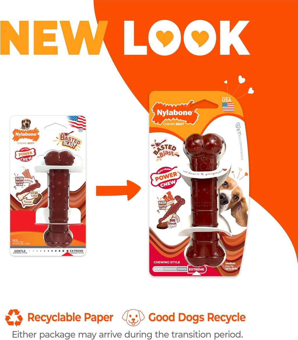 Nylabone Power Chew Basted Blast Dog Chew Toy, Bacon & Steak Flavor, Medium