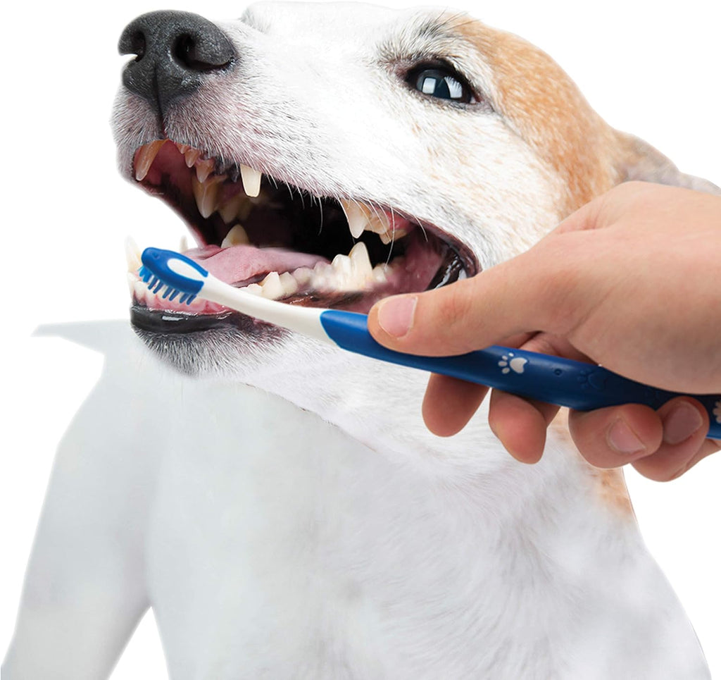 Nylabone Advanced Oral Care Puppy Dental Kit Puppy Original 3 Count 