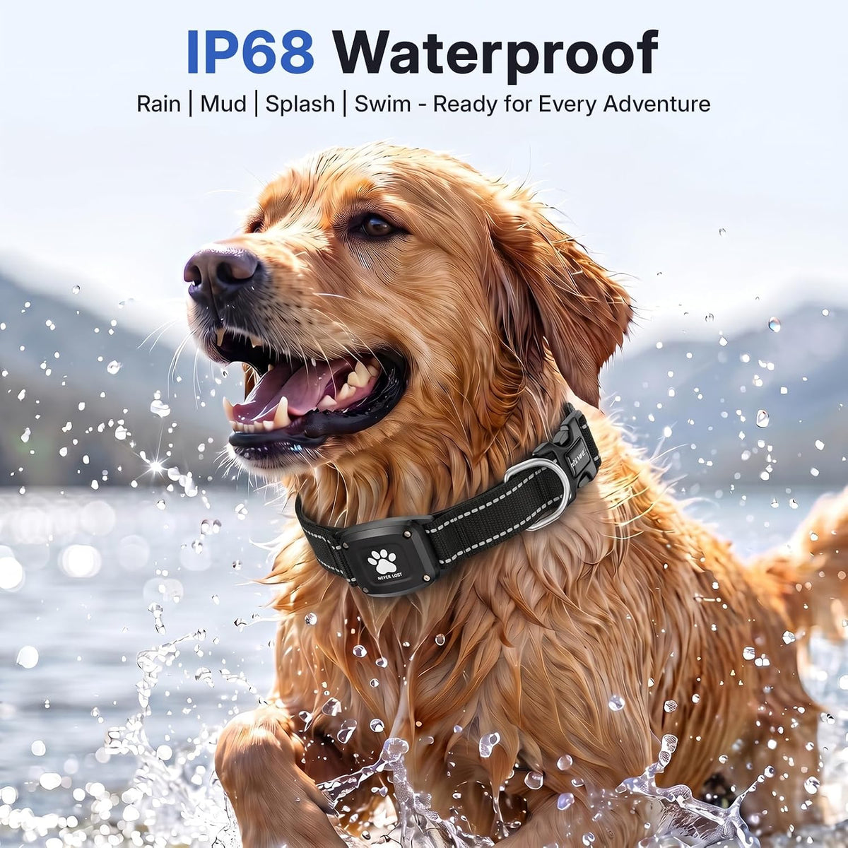 GPS Dog Collar with Tracker, Waterproof, No Monthly Fee, Black, M