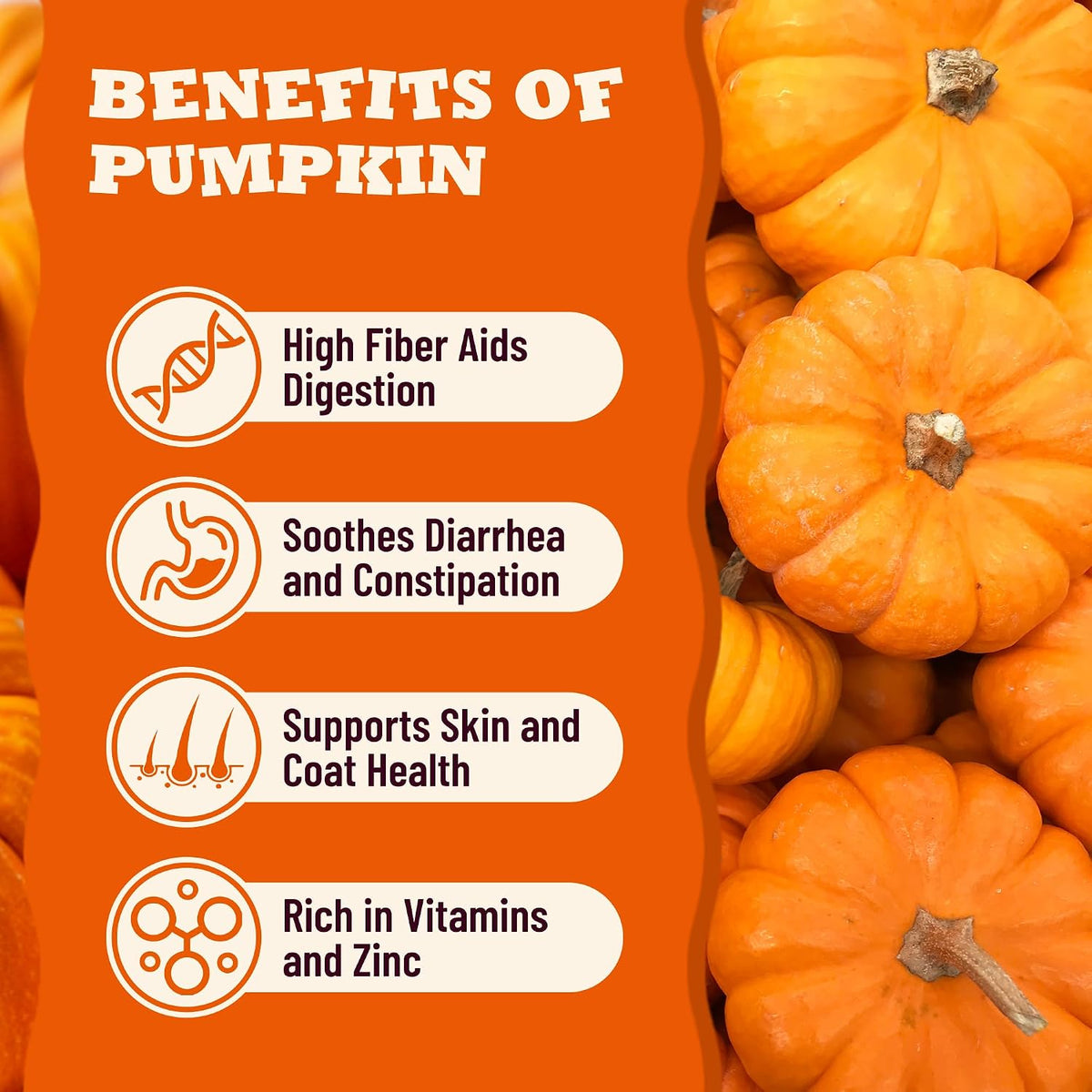 100% Pumpkin Powder for Dogs & Cats 5.3oz, Pure Fiber Supplement