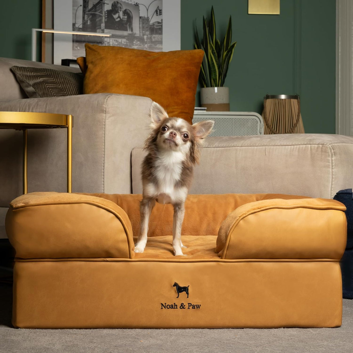 NOAH & PAW Dog Bed, Orthopedic Memory Cooling Foam (2X Base) 28x23x11in