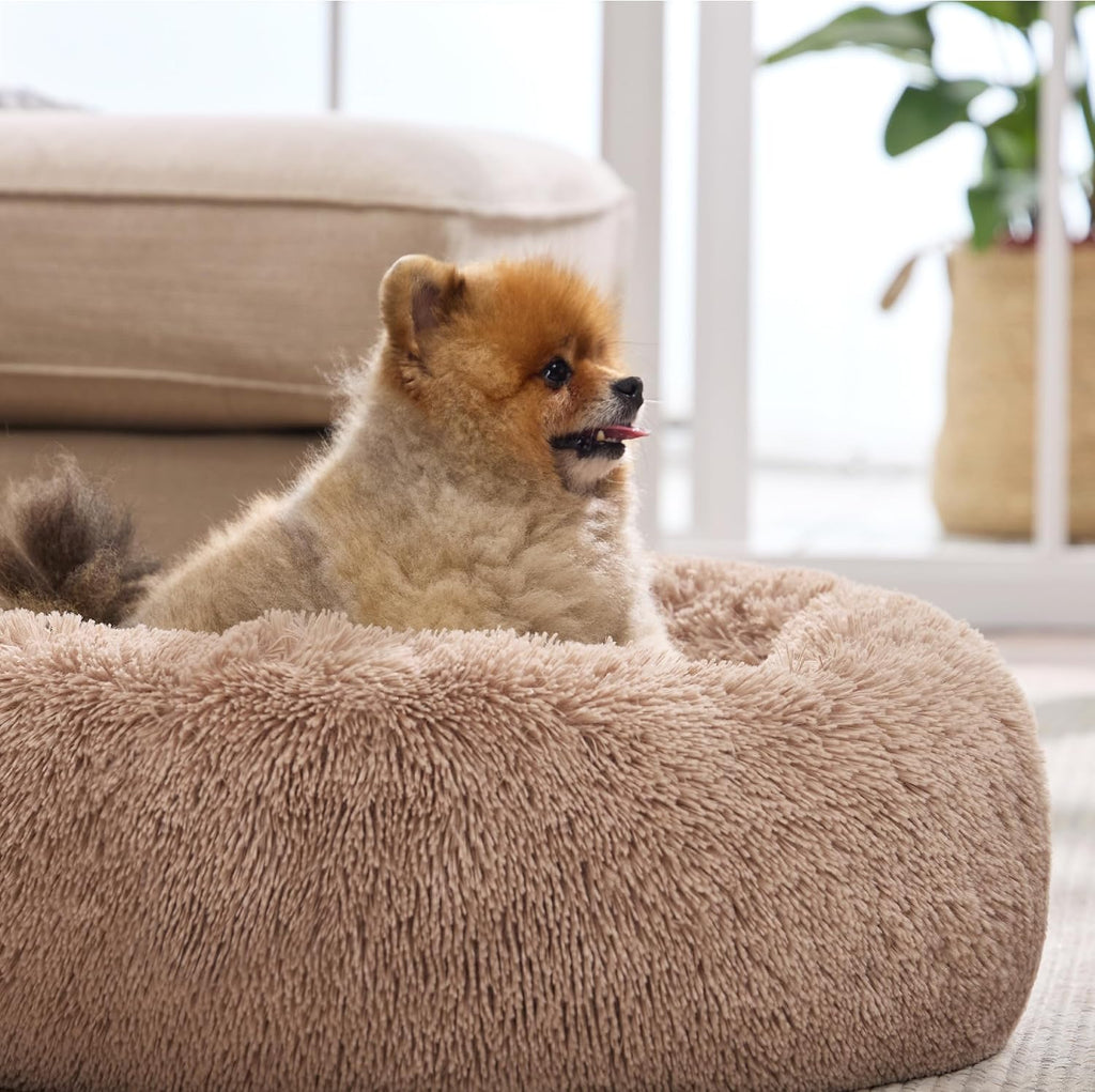 Bedsure Calming Cat Beds Donut Round Washable Kitten Bed,20 inches Camel