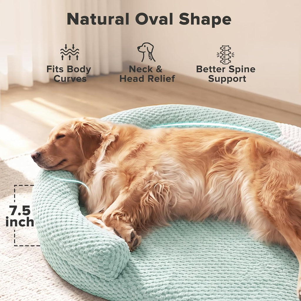 JOEJOY Orthopedic Dog Bed Medium Size Dogs, Waterproof Washable Oval Dog Beds with Removable Cover, Egg-Crate Memory Foam Pet Bed with Bolster Sides & Non-Skid Bottom, Green, 28''x20''