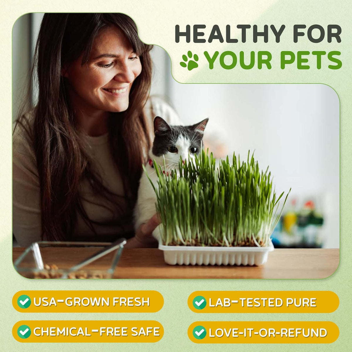 Todd's Seeds Cat Grass Seeds for Indoor Cats, 1lb Wheat Grass Seeds