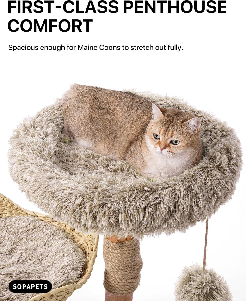 Sopapets Solid Wood Cat Tree, Modern Cat Tower for Indoor Large Cats, Beige